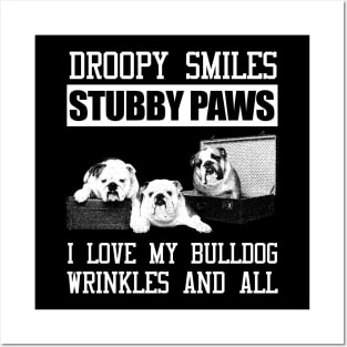 Stubby Paws Posters and Art